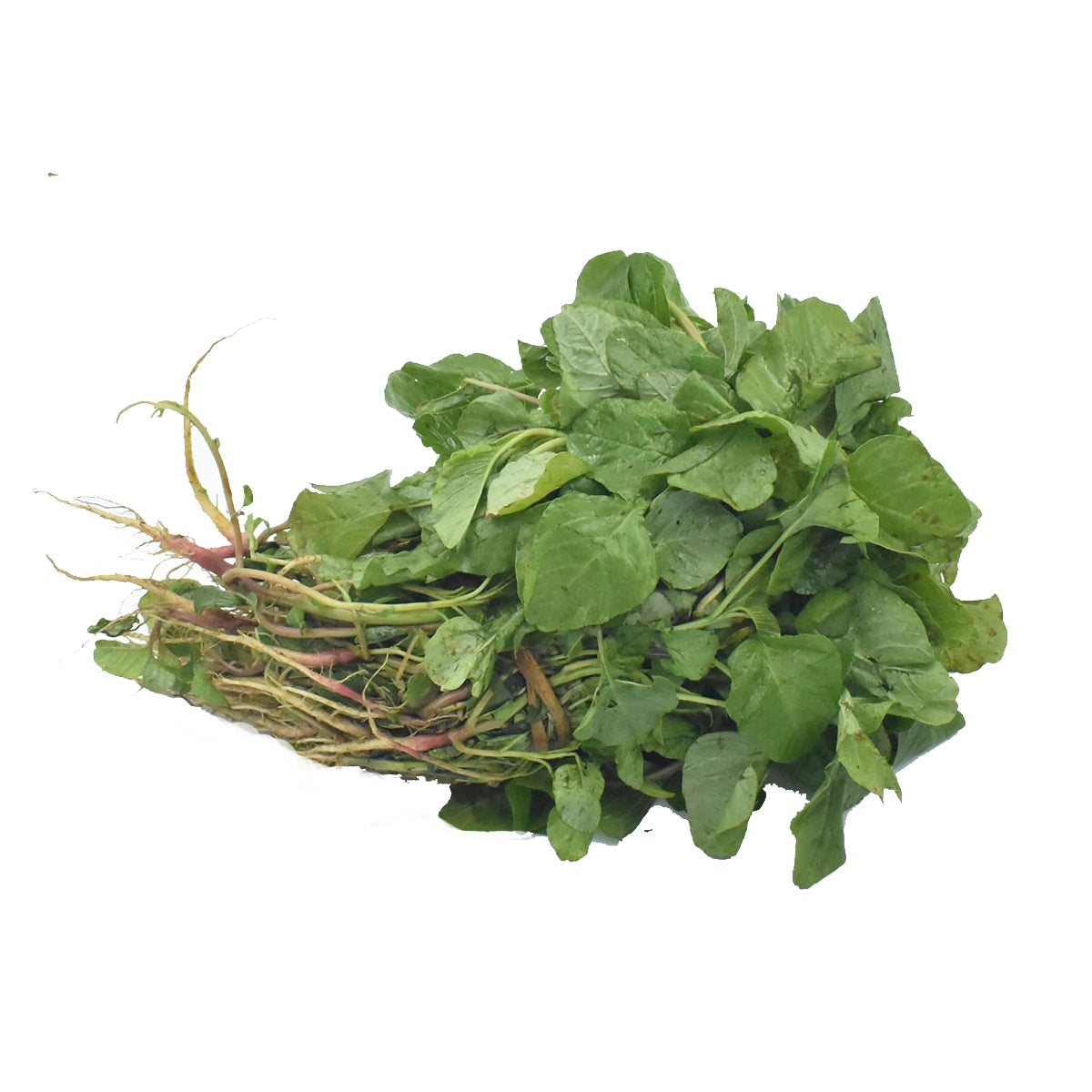 Buy Arai Keerai (Amaranthus Dubius) at Veenas.com - Online Indian Grocery Store UK