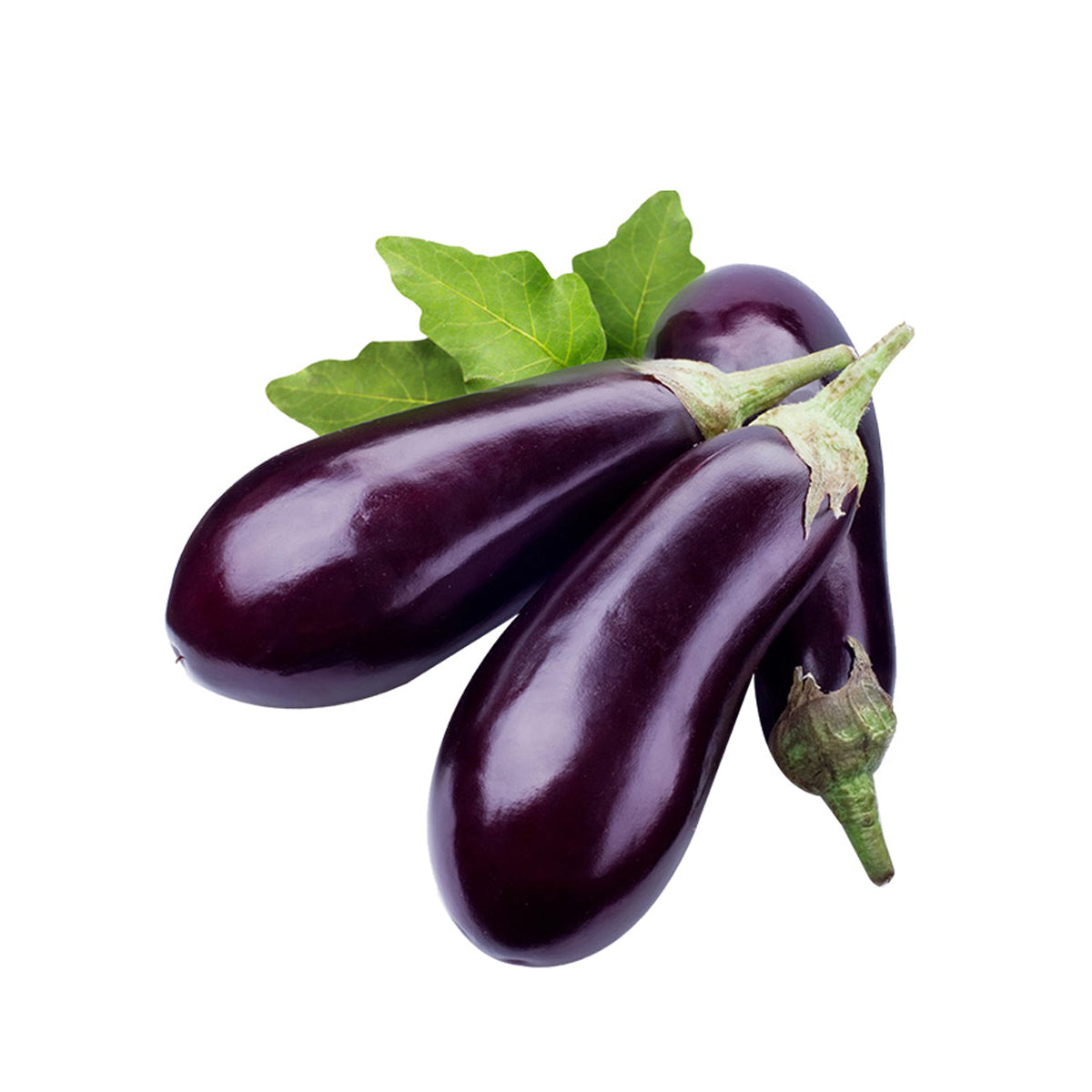 Dutch Aubergine 500g