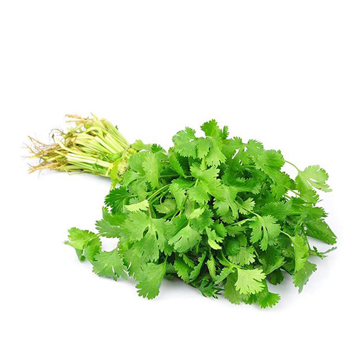 Fresh Coriander Leaf 100g