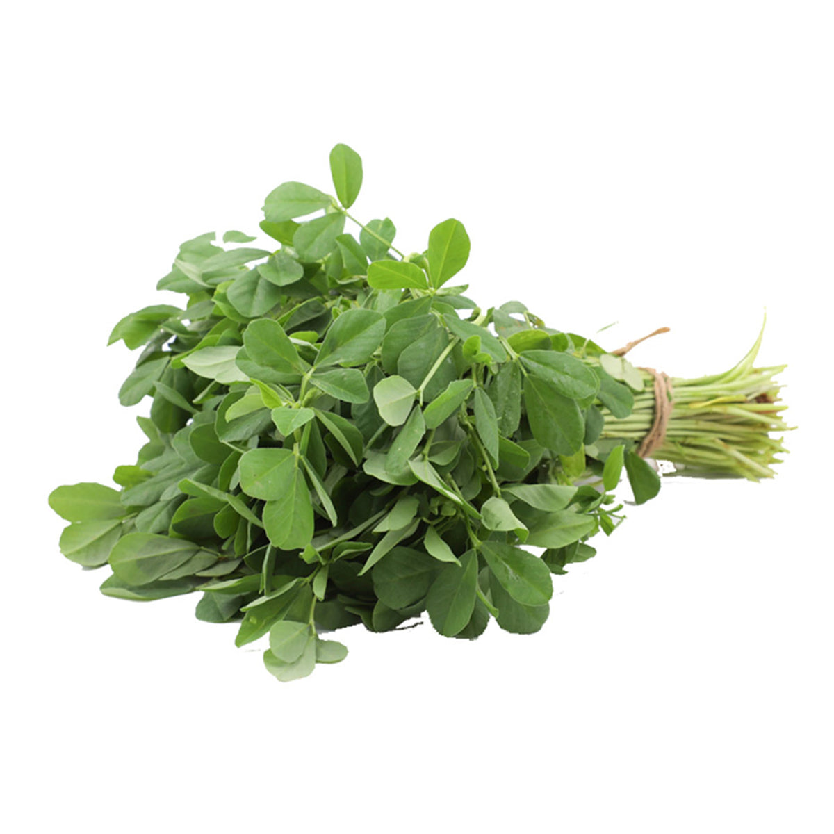 Fresh Methi Leaves (Fenugreek) Bunch