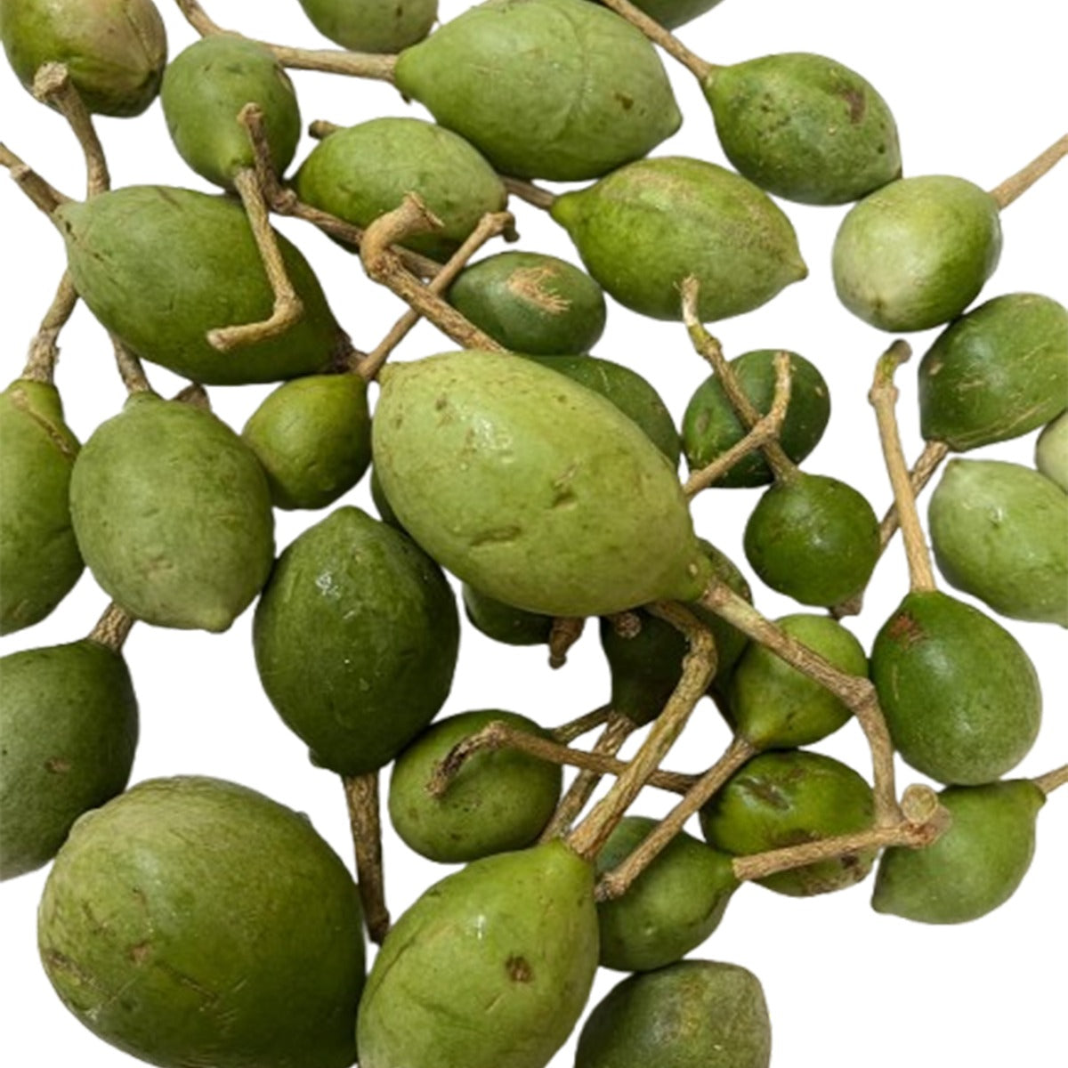 Buy Kathottikai (Hog Plum) 100g at Veenas.com - Online Indian Grocery Store UK
