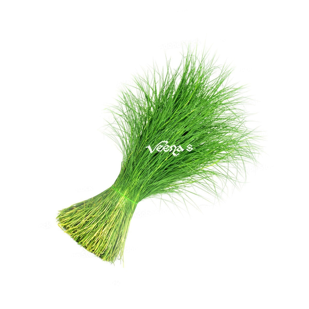 Green Grass (Arugampul) 20g