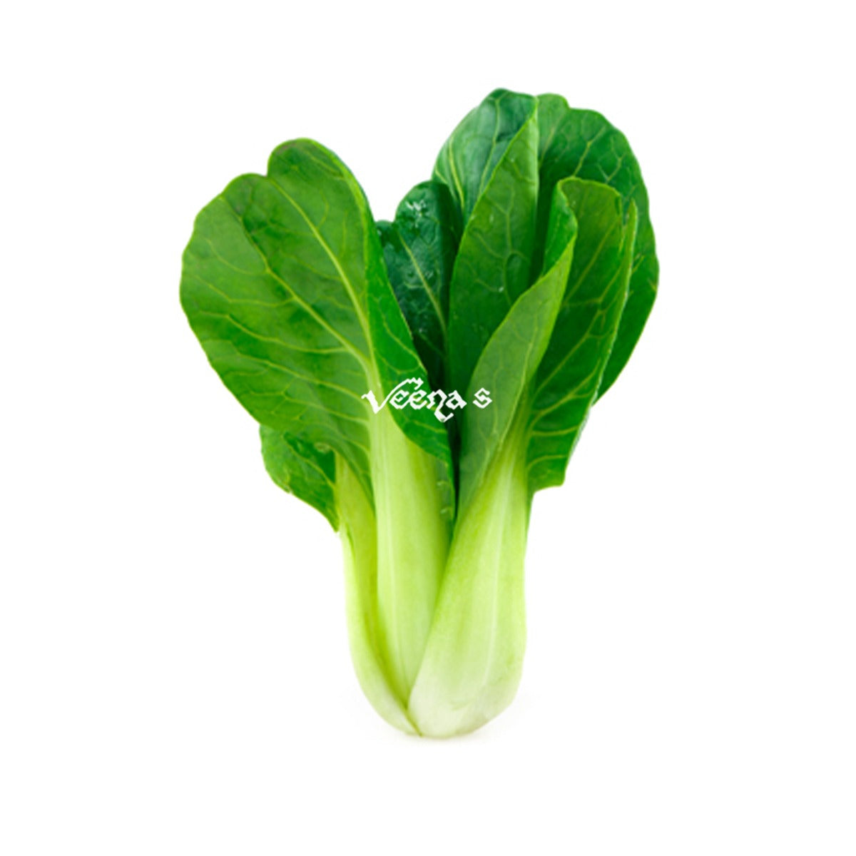Buy Pak Choi (2 Pcs) at Veenas.com - Online Indian Grocery Store UK