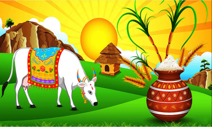 Pongal (Harvest Festival)