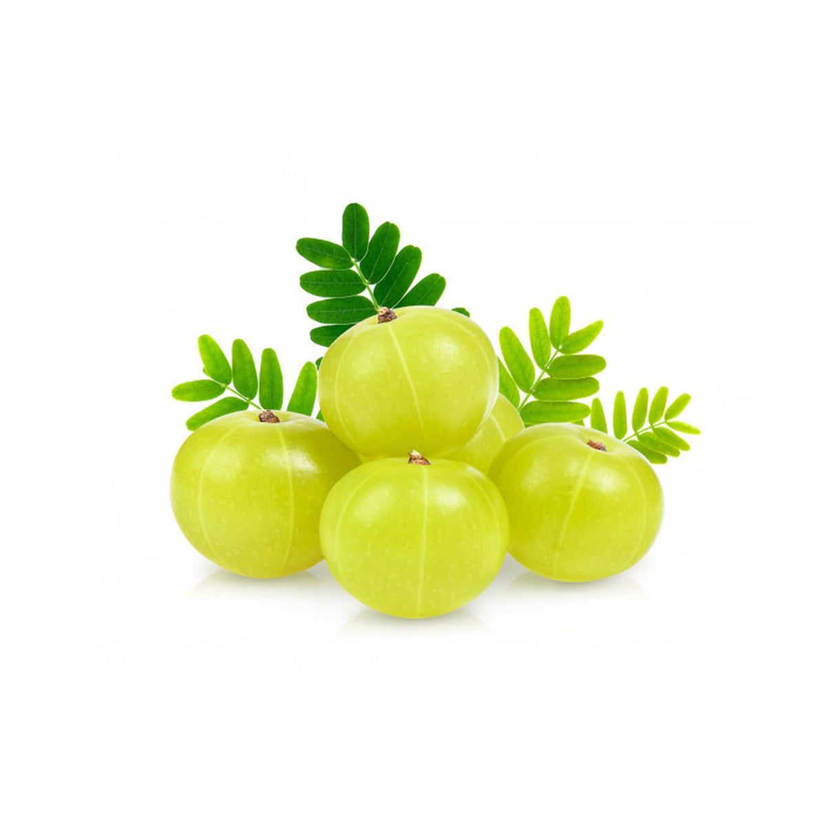 Amla Fruit (5Pcs)