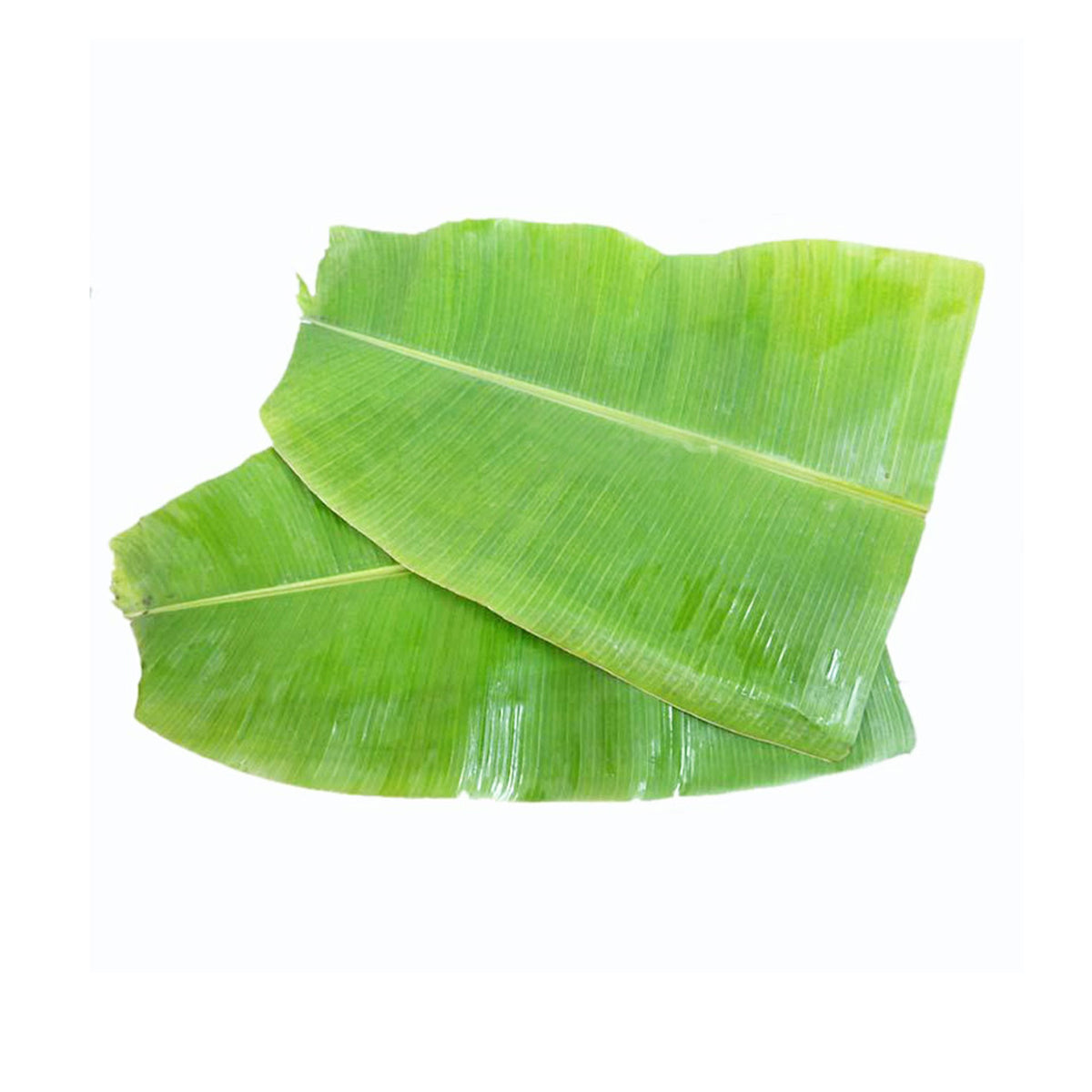 Banana Leaf (Vazhai Ilai) (2Pcs)