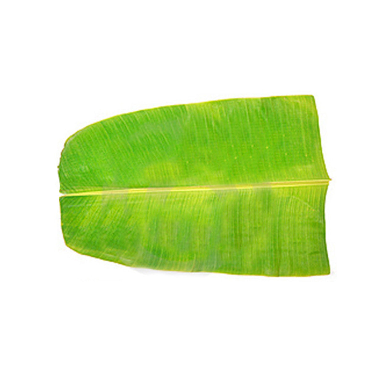 Buy Banana Leaves Paper at Veenas.com - Online Indian Grocery Store UK