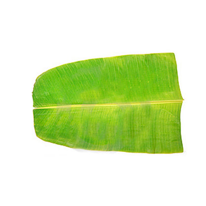 Buy Banana Leaves Paper at Veenas.com - Online Indian Grocery Store UK
