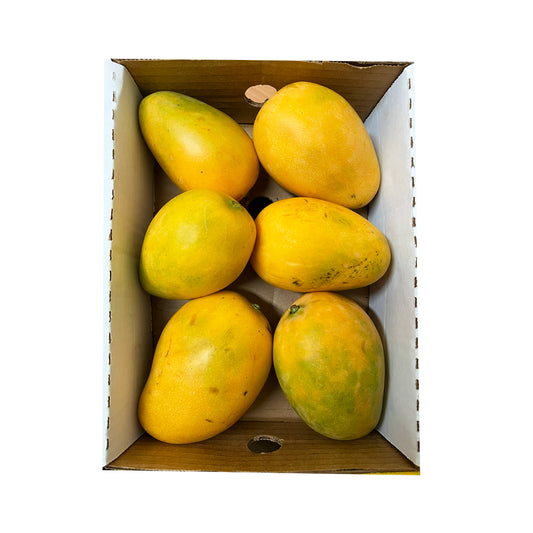 Buy Dominician Mango at Veenas.com - Online Indian Grocery Store UK