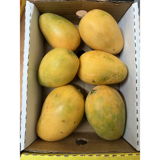 Buy Dominician Mango at Veenas.com - Online Indian Grocery Store UK