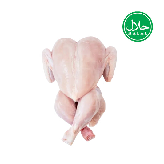 Fresh 100% Halal Baby Chicken (1pcs) (Without Skin)