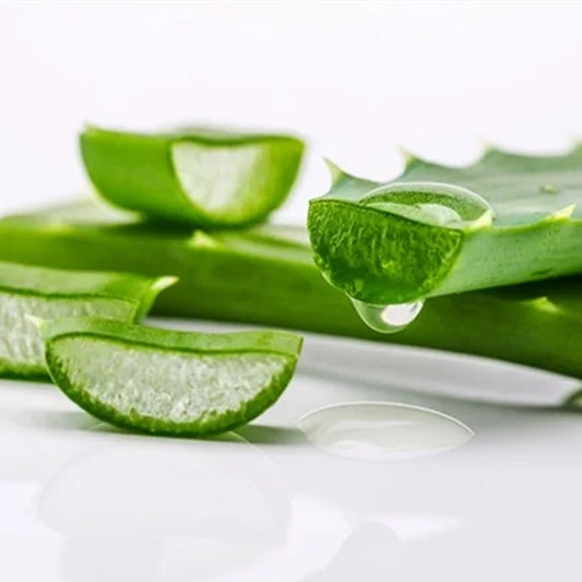 Fresh Aloe Vera 200g