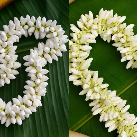 Buy Fresh Jasmine Or Mullai Flower at Veenas.com - Online Indian Grocery Store UK