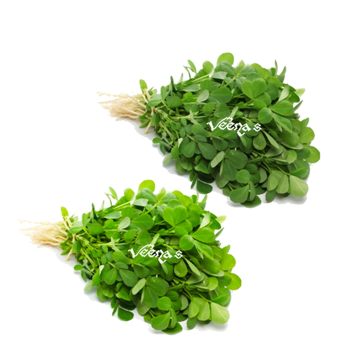 Buy Fresh Methi Leaves (Fenugreek) (Bunch Of 2) at Veenas.com - Online Indian Grocery Store UK