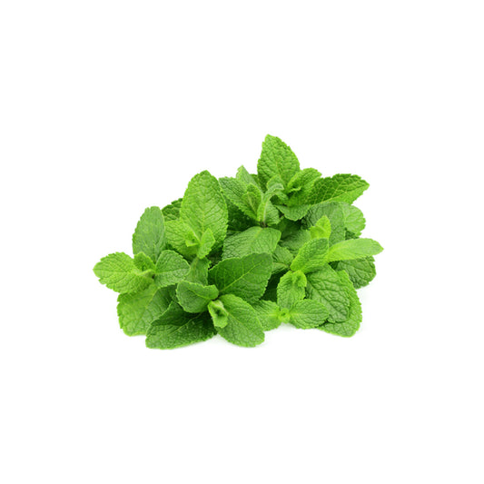 Fresh Mint Leaf (Pudina)