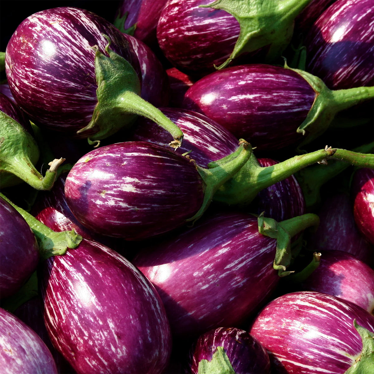 Line Aubergine 550g 
