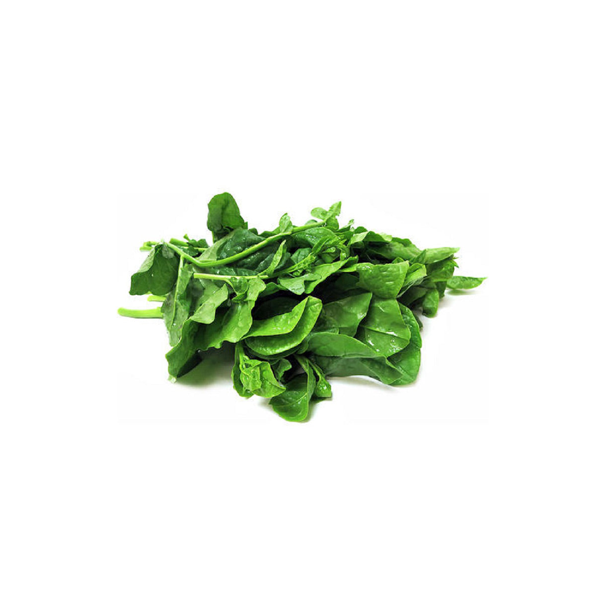 Buy Pasali Leaves (Keerai) 500g at Veenas.com - Online Indian Grocery Store UK