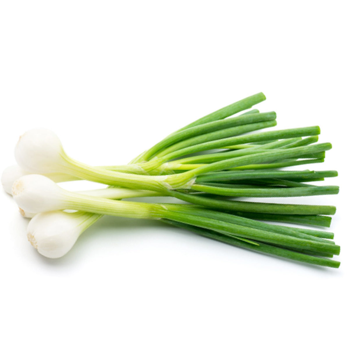 Spring Onions 250g