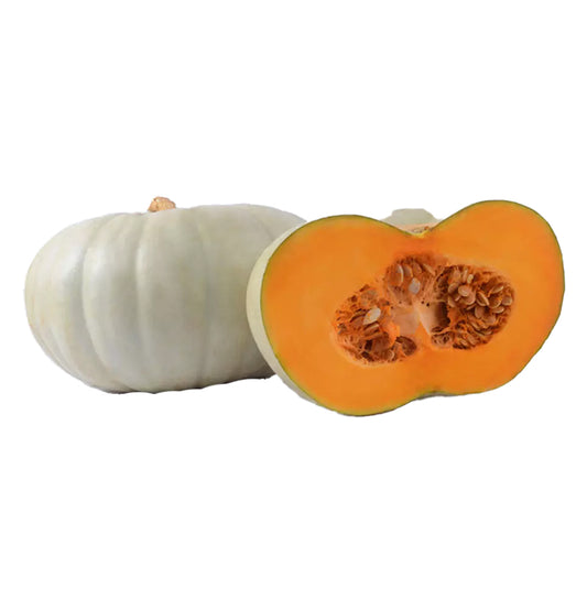 White Pumkin (Venpoosani)
