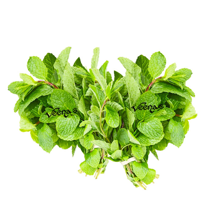 Fresh Mint/Pudina Leaves (Bunch of 2) 