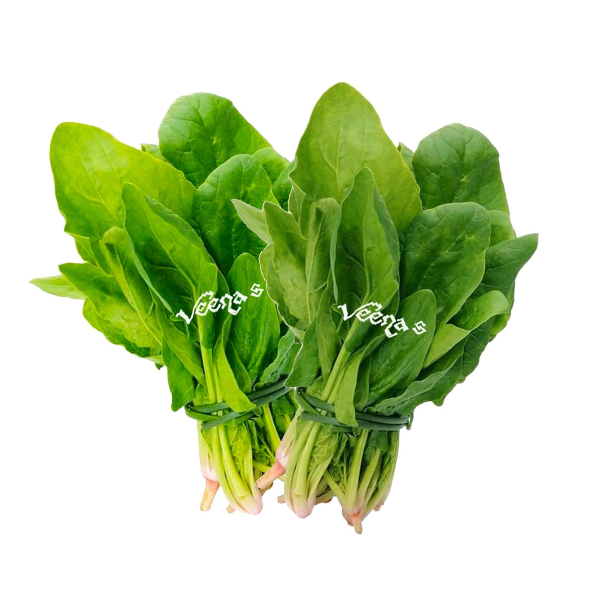 Fresh Spinach (Bunch of 2)