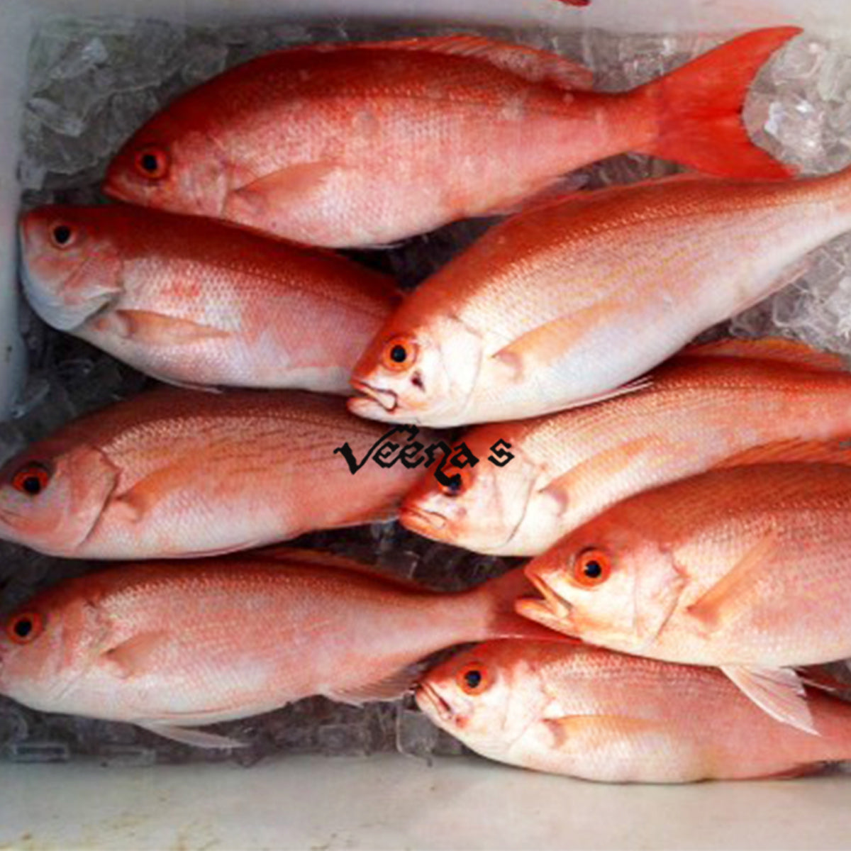 Buy Diamond Seafoods Sowpara 1kg at Veenas.com - Online Indian Grocery Store UK