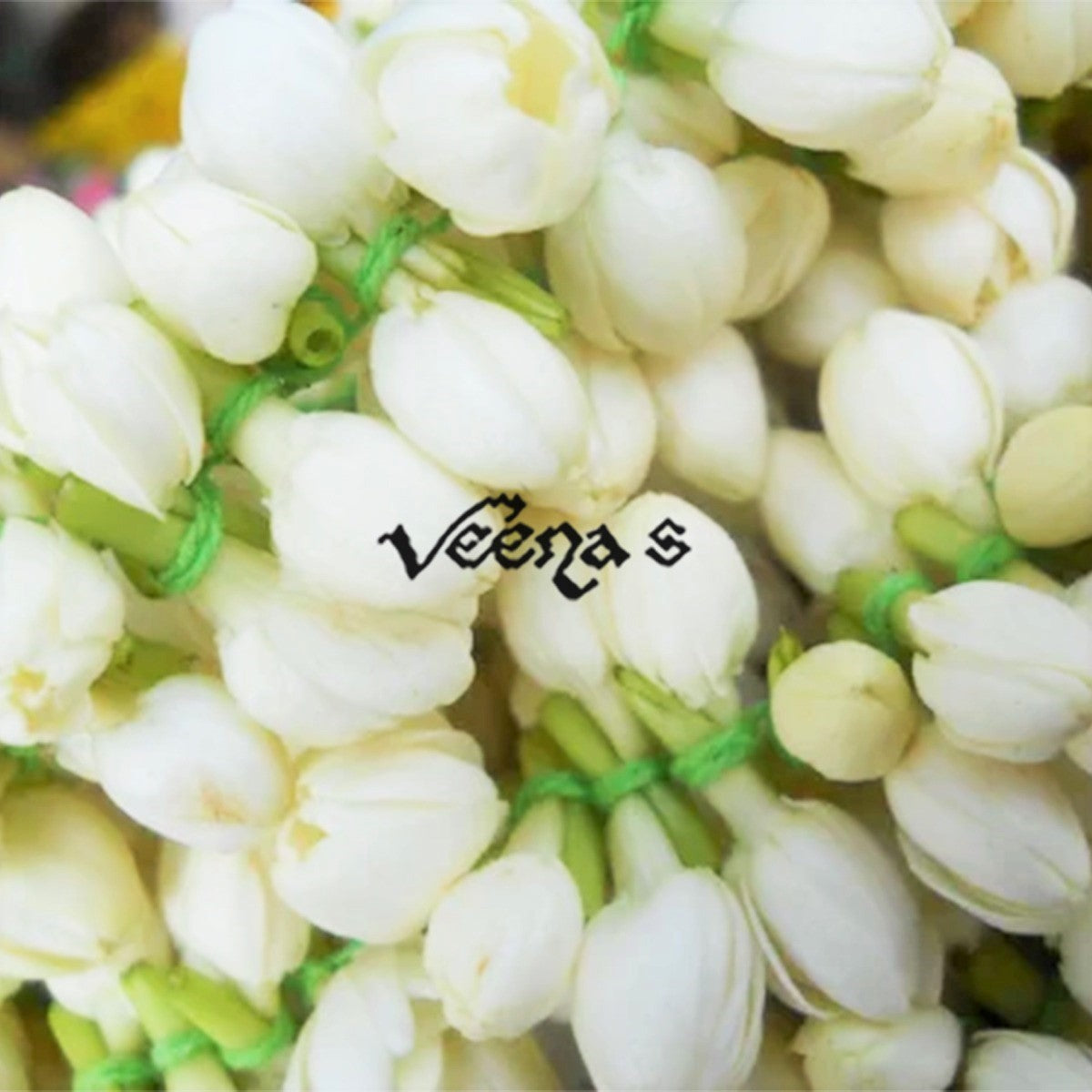 Fresh Jasmine Or Mullai Flower