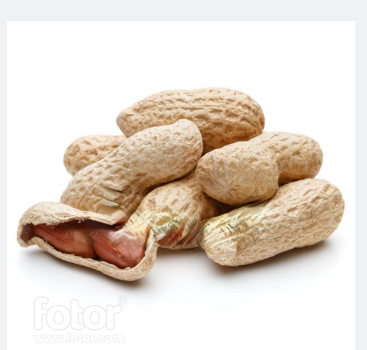 Monkey Nuts / Peanuts With Shell 500G