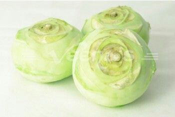 Buy Kohlrabi (White Noolkol) 500g (Approx) at Veenas.com - Online Indian Grocery Store UK