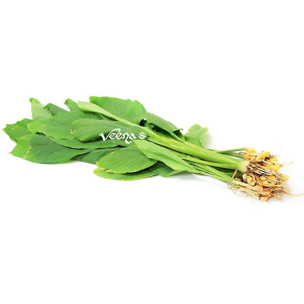 Manjal Kothu (Turmeric plant) 200g