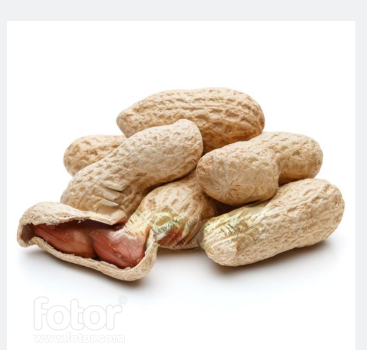 Buy Monkey Nuts / Peanuts With Shell 500G at Veenas.com - Online Indian Grocery Store UK