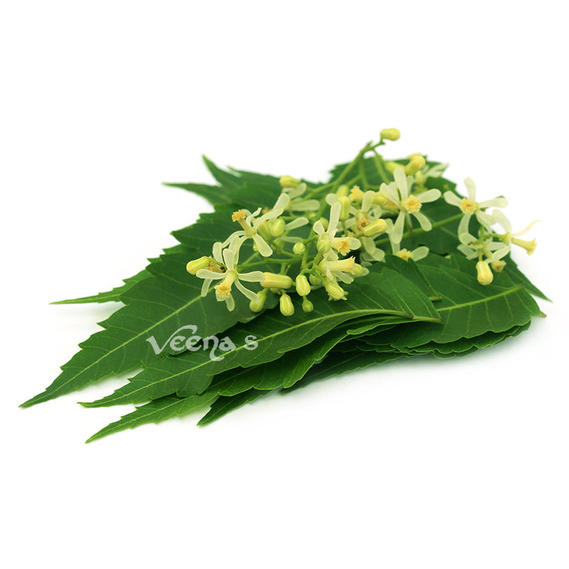 Buy Neem Flowers (Veppam Poo) 10g (Approx) at Veenas.com - Online Indian Grocery Store UK
